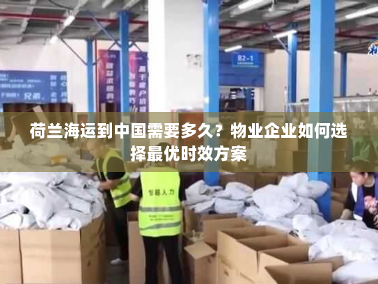 荷兰海运到中国需要多久?物业企业如何选择最优时效方案 荷兰海运到中国需要多久?物业企业如何选择最优时效方案