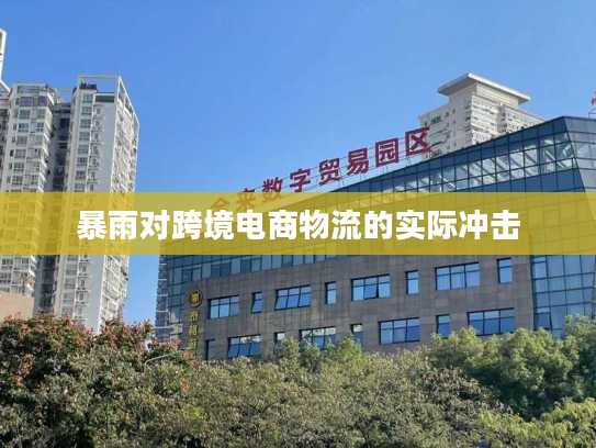 暴雨对跨境电商物流的实际冲击