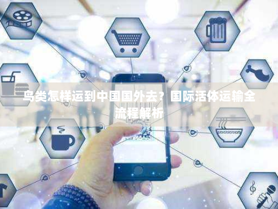 鸟类怎样运到中国国外去?国际活体运输全流程解析 鸟类怎样运到中国国外去?国际活体运输全流程解析