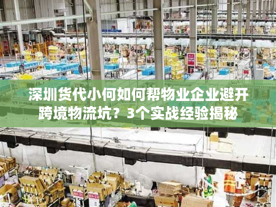 深圳货代小何如何帮物业企业避开跨境物流坑？3个实战经验揭秘