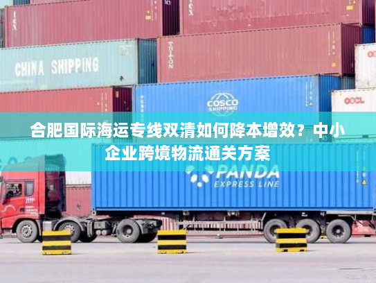 合肥国际海运专线双清如何降本增效?中小企业跨境物流通关方案 合肥国际海运专线双清如何降本增效?中小企业跨境物流通关方案