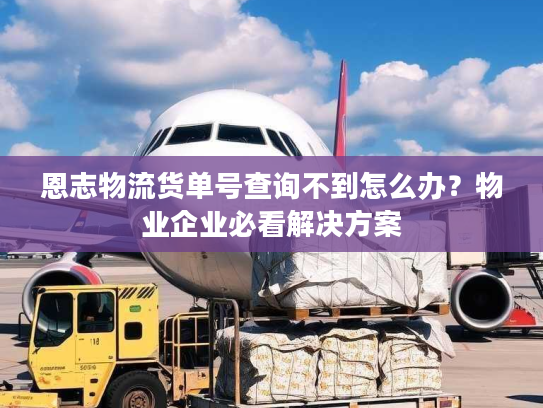恩志物流货单号查询不到怎么办?物业企业必看解决方案 恩志物流货单号查询不到怎么办?物业企业必看解决方案