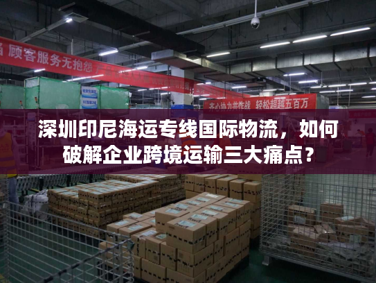 深圳印尼海运专线国际物流，如何破解企业跨境运输三大痛点？