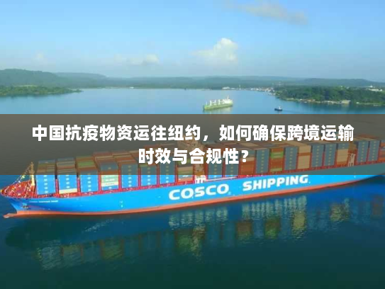中国抗疫物资运往纽约，如何确保跨境运输时效与合规性？