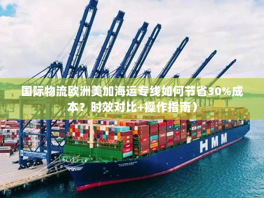 国际物流欧洲美加海运专线如何节省30%成本？时效对比+操作指南）