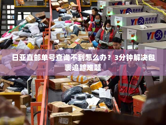 日亚直邮单号查询不到怎么办?3分钟解决包裹追踪难题 日亚直邮单号查询不到怎么办?3分钟解决包裹追踪难题