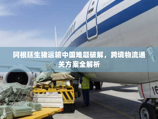 阿根廷生猪运输中国难题破解,跨境物流通关方案全解析 阿根廷生猪运输中国难题破解,跨境物流通关方案全解析