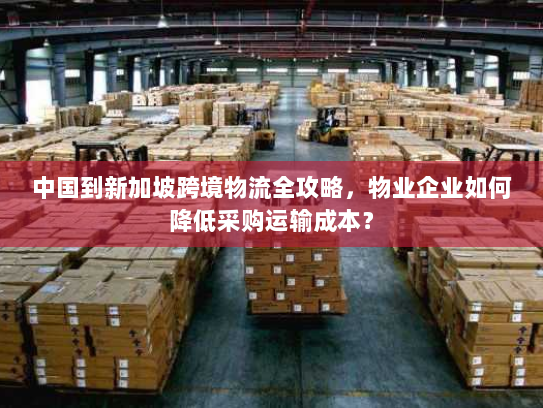 中国到新加坡跨境物流全攻略,物业企业如何降低采购运输成本? 中国到新加坡跨境物流全攻略,物业企业如何降低采购运输成本?