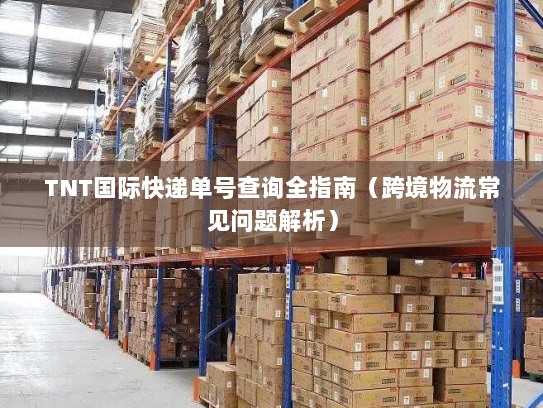 TNT国际快递单号查询全指南（跨境物流常见问题解析）