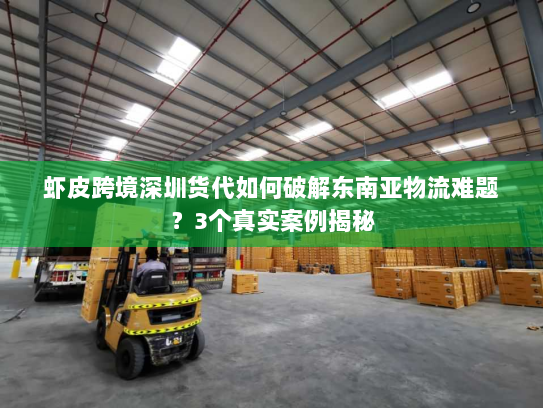虾皮跨境深圳货代如何破解东南亚物流难题?3个真实案例揭秘 虾皮跨境深圳货代如何破解东南亚物流难题?3个真实案例揭秘