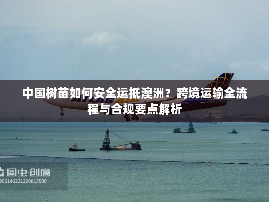 中国树苗如何安全运抵澳洲？跨境运输全流程与合规要点解析