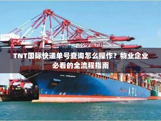 TNT国际快递单号查询怎么操作?物业企业必看的全流程指南 TNT国际快递单号查询怎么操作?物业企业必看的全流程指南