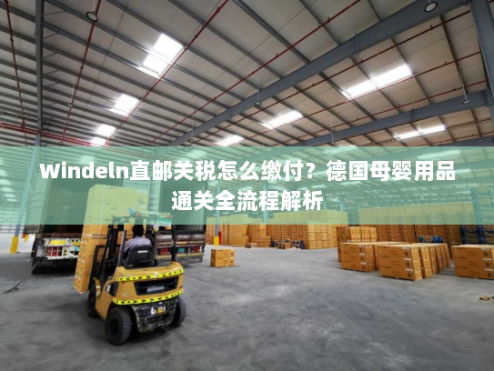 Windeln直邮关税怎么缴付?德国母婴用品通关全流程解析 Windeln直邮关税怎么缴付?德国母婴用品通关全流程解析