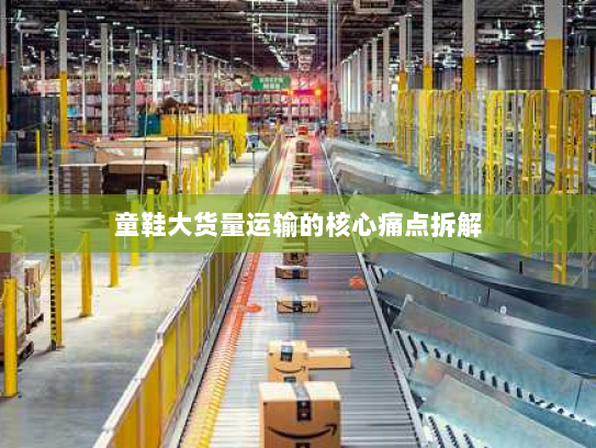 童鞋大货量运输的核心痛点拆解 童鞋大货量运输的核心痛点拆解