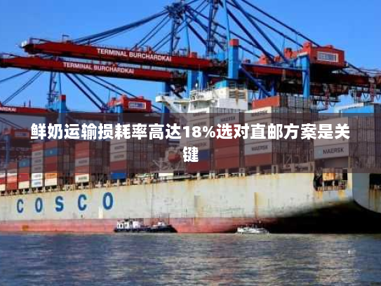 鲜奶运输损耗率高达18%选对直邮方案是关键 鲜奶运输损耗率高达18%选对直邮方案是关键