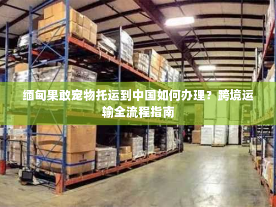 缅甸果敢宠物托运到中国如何办理?跨境运输全流程指南 缅甸果敢宠物托运到中国如何办理?跨境运输全流程指南