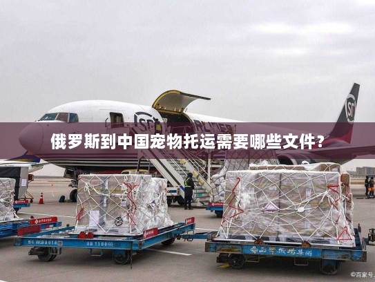 俄罗斯到中国宠物托运需要哪些文件? 俄罗斯到中国宠物托运需要哪些文件?