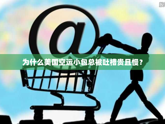 为什么美国空运小包总被吐槽贵且慢? 为什么美国空运小包总被吐槽贵且慢?