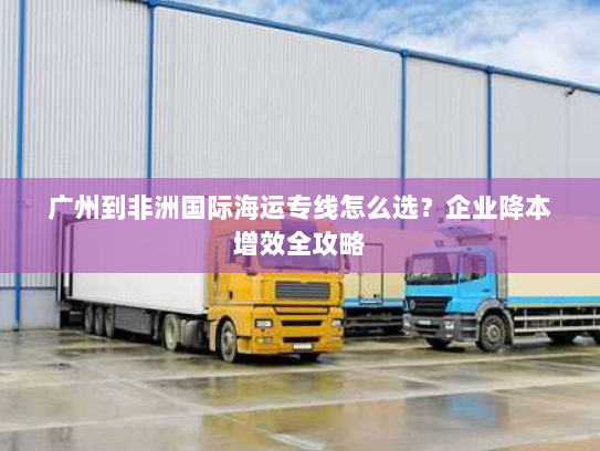 广州到非洲国际海运专线怎么选?企业降本增效全攻略 广州到非洲国际海运专线怎么选?企业降本增效全攻略