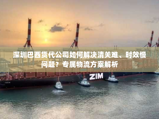 深圳巴西货代公司如何解决清关难、时效慢问题?专属物流方案解析 深圳巴西货代公司如何解决清关难、时效慢问题?专属物流方案解析