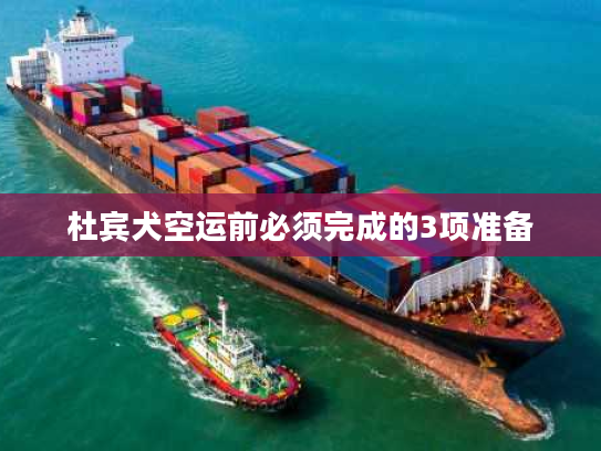 杜宾犬空运前必须完成的3项准备 杜宾犬空运前必须完成的3项准备