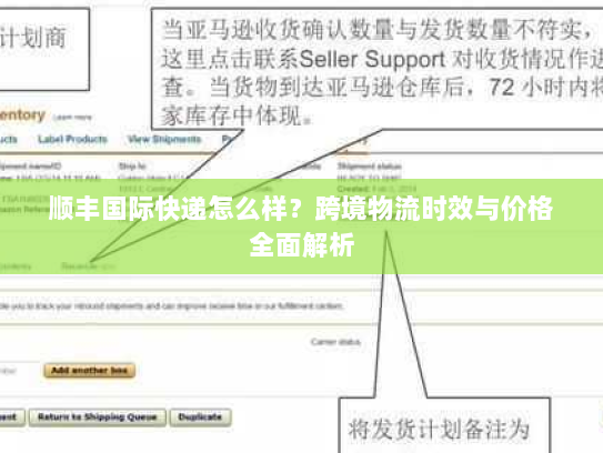 顺丰国际快递怎么样?跨境物流时效与价格全面解析 顺丰国际快递怎么样?跨境物流时效与价格全面解析