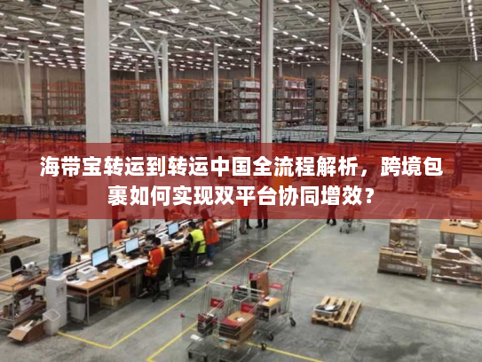 海带宝转运到转运中国全流程解析,跨境包裹如何实现双平台协同增效? 海带宝转运到转运中国全流程解析,跨境包裹如何实现双平台协同增效?