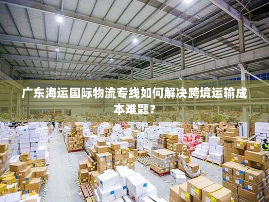 广东海运国际物流专线如何解决跨境运输成本难题? 广东海运国际物流专线如何解决跨境运输成本难题?