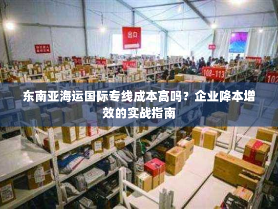 东南亚海运国际专线成本高吗?企业降本增效的实战指南 东南亚海运国际专线成本高吗?企业降本增效的实战指南