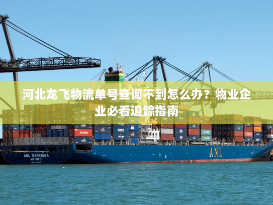 河北龙飞物流单号查询不到怎么办？物业企业必看追踪指南