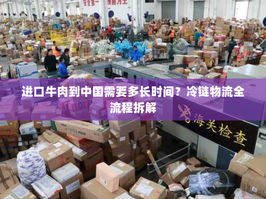 进口牛肉到中国需要多长时间?冷链物流全流程拆解 进口牛肉到中国需要多长时间?冷链物流全流程拆解