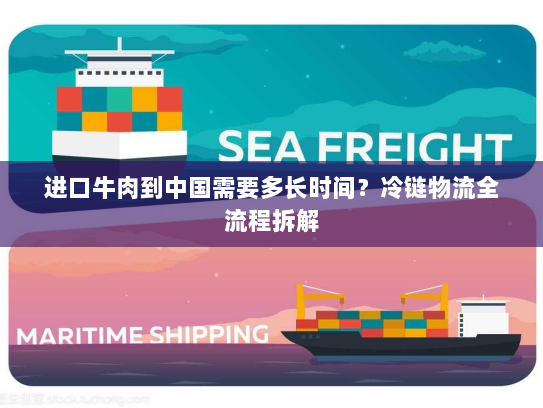 进口牛肉到中国需要多长时间?冷链物流全流程拆解 进口牛肉到中国需要多长时间?冷链物流全流程拆解