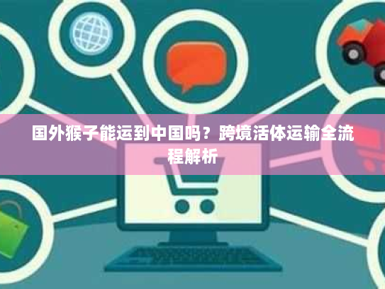 国外猴子能运到中国吗?跨境活体运输全流程解析 国外猴子能运到中国吗?跨境活体运输全流程解析