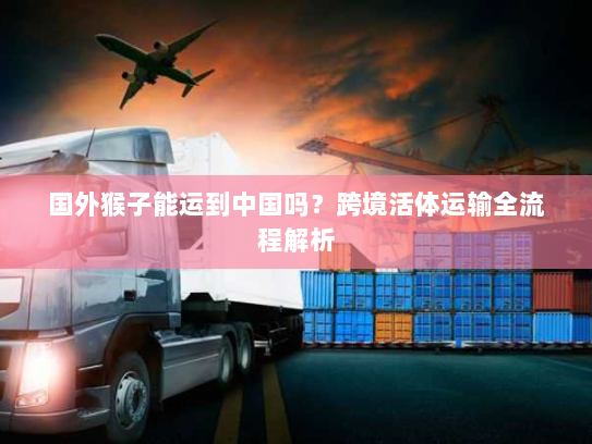 国外猴子能运到中国吗？跨境活体运输全流程解析