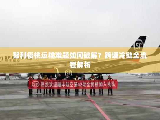 智利樱桃运输难题如何破解?跨境冷链全流程解析 智利樱桃运输难题如何破解?跨境冷链全流程解析