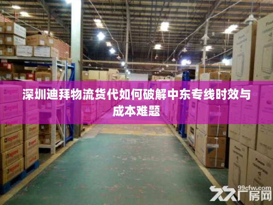 深圳迪拜物流货代如何破解中东专线时效与成本难题