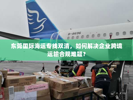 东莞国际海运专线双清,如何解决企业跨境运输合规难题? 东莞国际海运专线双清,如何解决企业跨境运输合规难题?