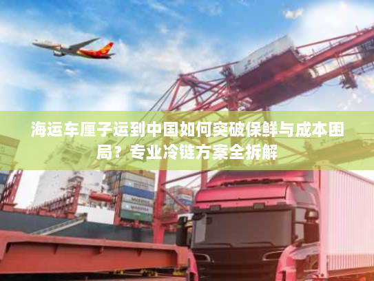 海运车厘子运到中国如何突破保鲜与成本困局?专业冷链方案全拆解 海运车厘子运到中国如何突破保鲜与成本困局?专业冷链方案全拆解