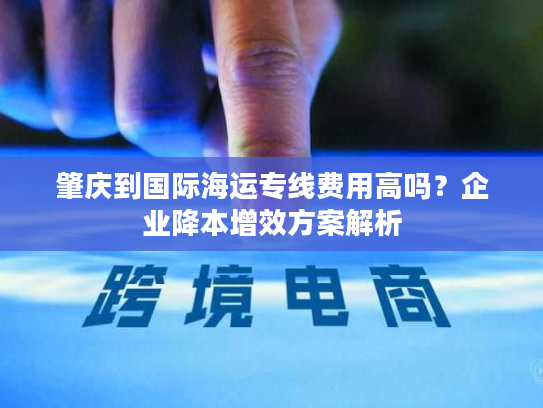 肇庆到国际海运专线费用高吗?企业降本增效方案解析 肇庆到国际海运专线费用高吗?企业降本增效方案解析