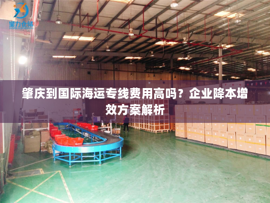 肇庆到国际海运专线费用高吗？企业降本增效方案解析