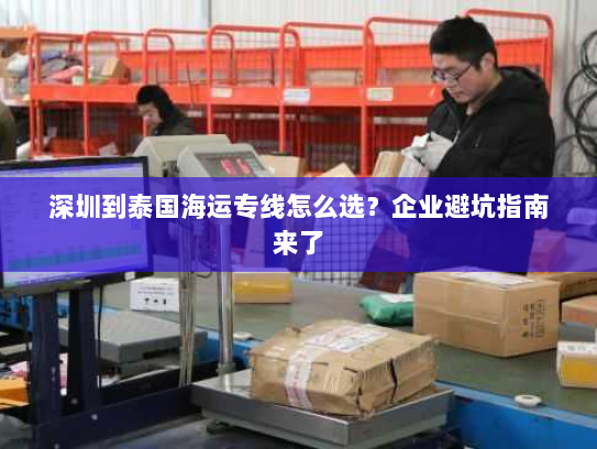 深圳到泰国海运专线怎么选？企业避坑指南来了