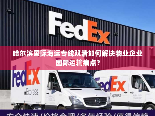 哈尔滨国际海运专线双清如何解决物业企业国际运输痛点？