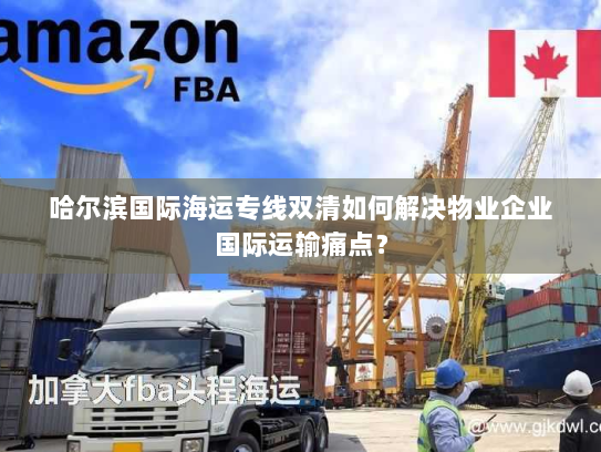 哈尔滨国际海运专线双清如何解决物业企业国际运输痛点？