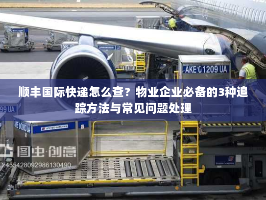 顺丰国际快递怎么查?物业企业必备的3种追踪方法与常见问题处理 顺丰国际快递怎么查?物业企业必备的3种追踪方法与常见问题处理