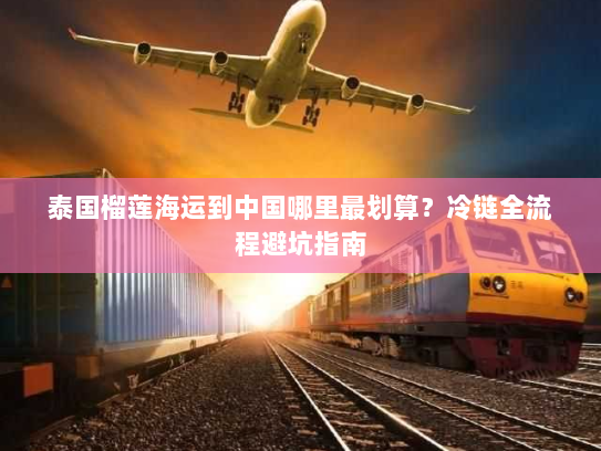 泰国榴莲海运到中国哪里最划算?冷链全流程避坑指南 泰国榴莲海运到中国哪里最划算?冷链全流程避坑指南