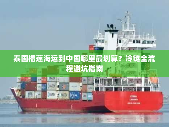 泰国榴莲海运到中国哪里最划算?冷链全流程避坑指南 泰国榴莲海运到中国哪里最划算?冷链全流程避坑指南