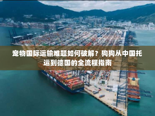宠物国际运输难题如何破解？狗狗从中国托运到德国的全流程指南