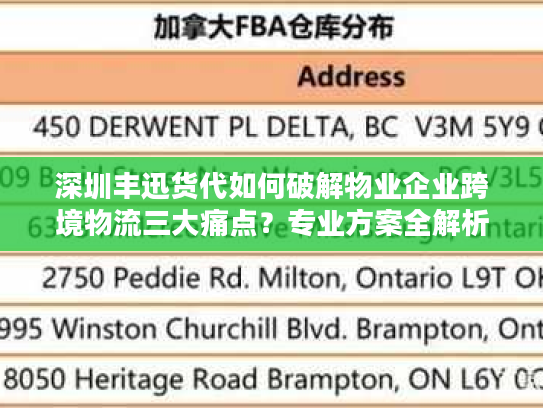 深圳丰迅货代如何破解物业企业跨境物流三大痛点？专业方案全解析