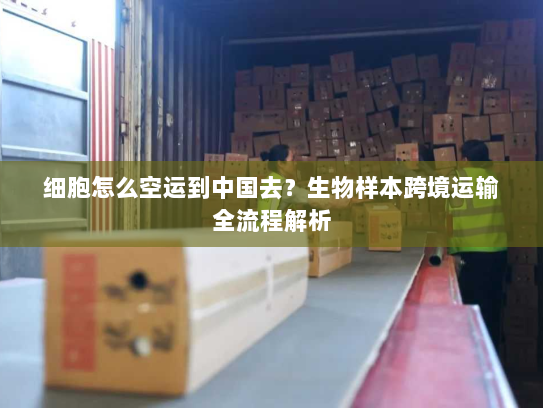 细胞怎么空运到中国去?生物样本跨境运输全流程解析 细胞怎么空运到中国去?生物样本跨境运输全流程解析