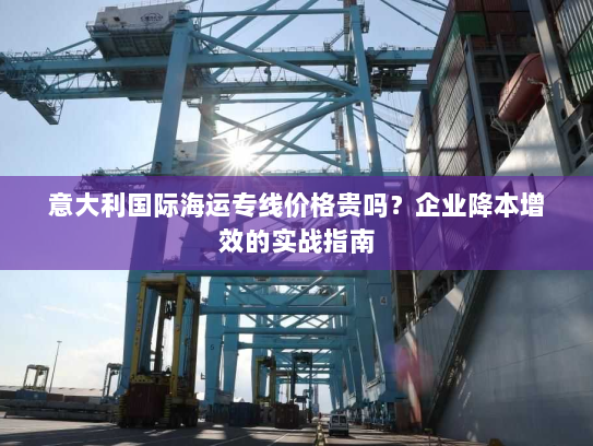 意大利国际海运专线价格贵吗？企业降本增效的实战指南
